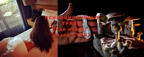 эйфоретик Алзамай