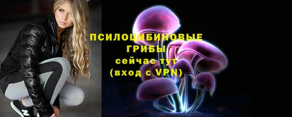 эйфоретик Алзамай