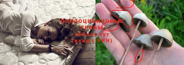 МДМА Алексеевка